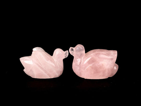 Pair of Ducks - 200-250 g